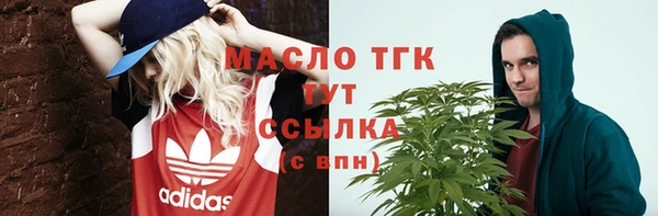 мдпв Гусь-Хрустальный