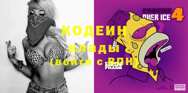 альфа пвп Медвежьегорск