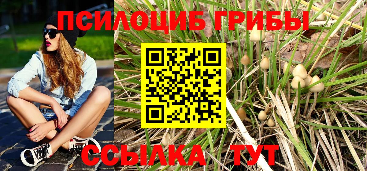 Гусь-Хрустальный  Псилоцибиновые грибы Cubensis  Псилоцибиновые грибы ЛСД  Вход с VPN 