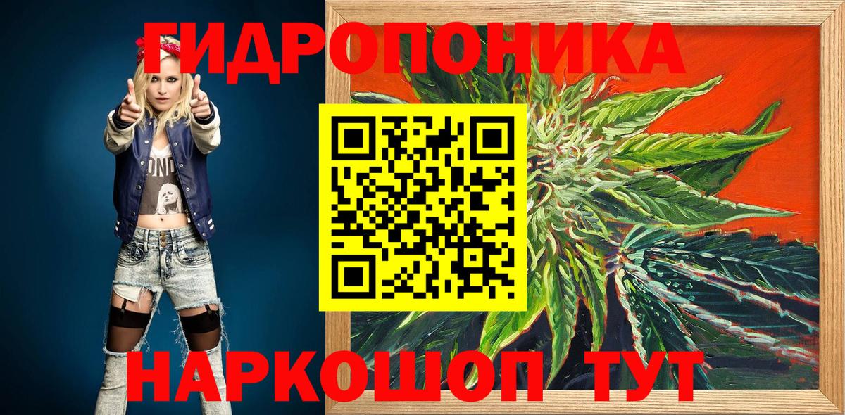 МАРИХУАНА план  МАРИХУАНА AK-47  Каннабис индика  Гусь-Хрустальный 